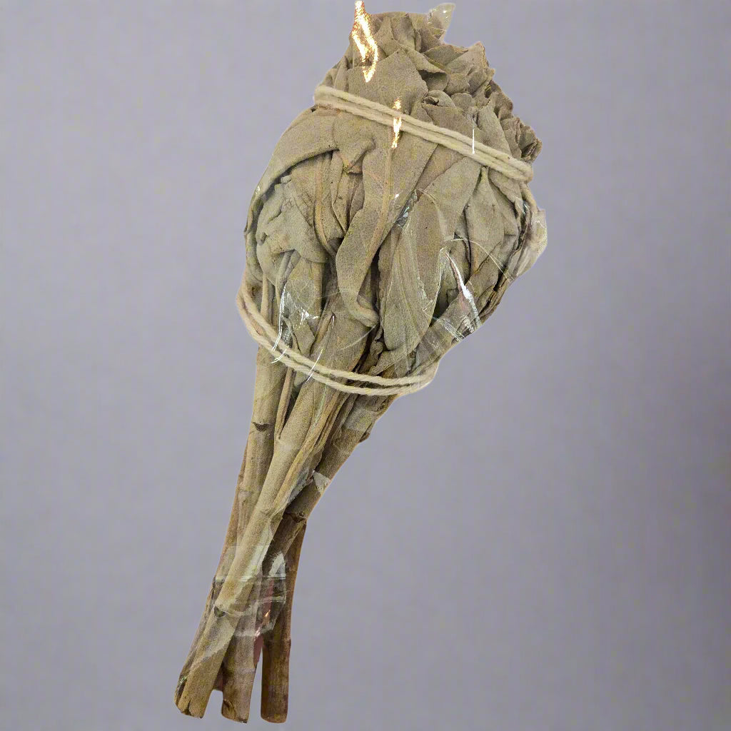 White Sage small