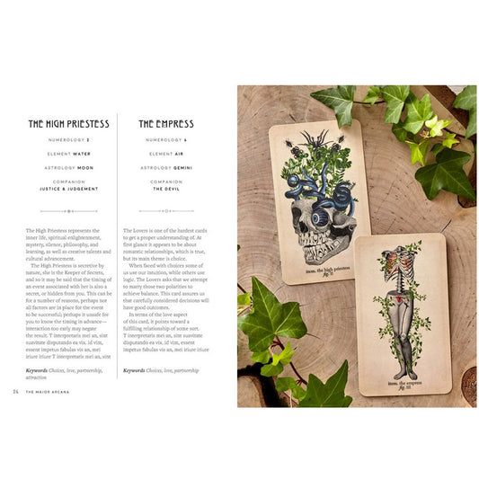 The Modern Tarot Reader - Claire Goodchild