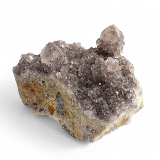 Amethyst Cactus Spirit Quartz