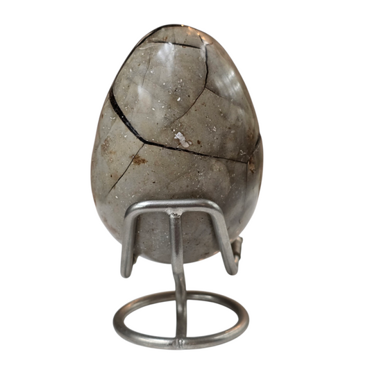 Septarian Dragon Egg #2