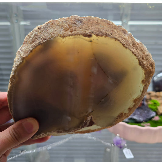 Earth’s Hidden Gallery: Polished Agate Geode Slab