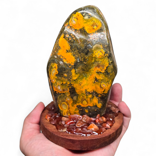 The Volcanic Spark: Polished Bumblebee Jasper on Carnelian Base