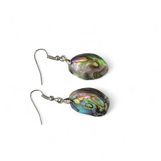 Abalone Paua Shell Earrings #4
