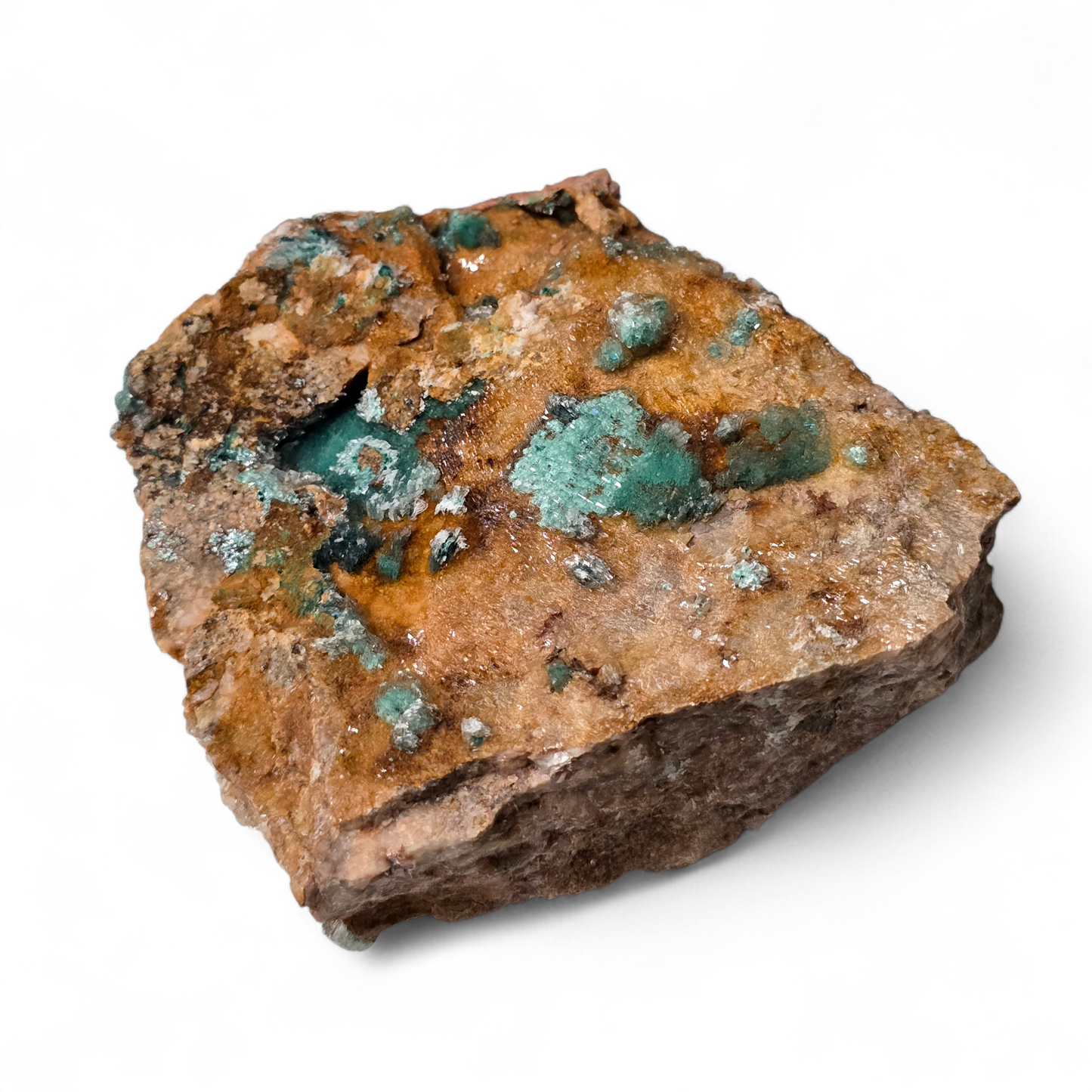 Specimen - Dolomite with Malachite & Selenite