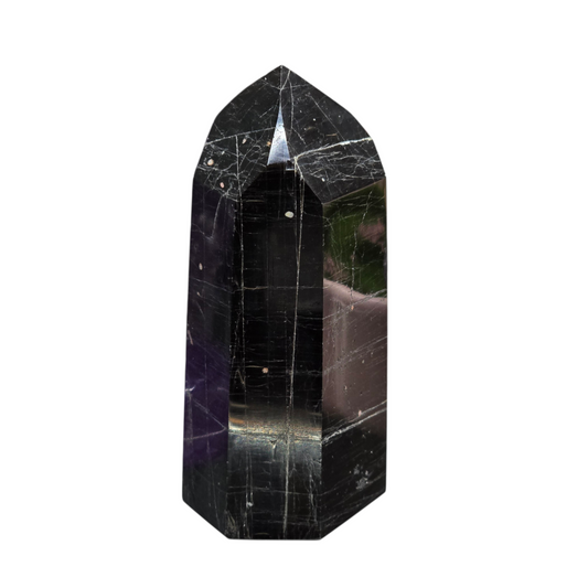 The Master Protector: Polished Black Tourmaline Generator