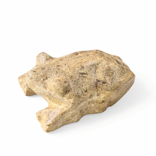 Fossil Coral Stone Frog