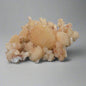  Apophyllite Orange Stilbite