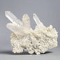Clear Quartz Cluster
