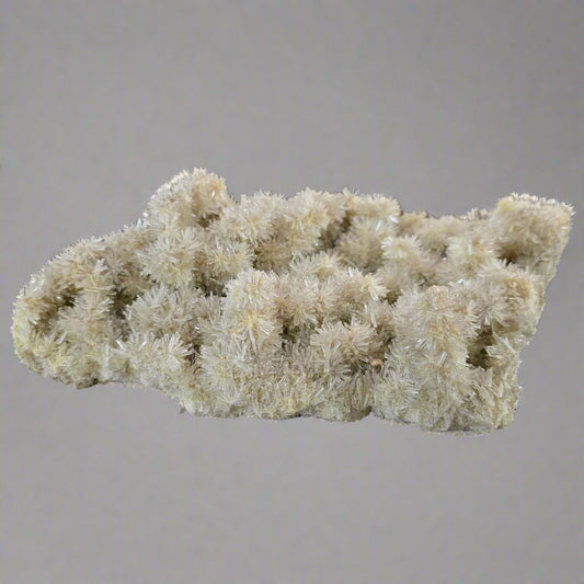 Selenite Cream Crystal