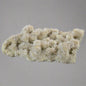 Selenite Cream Crystal