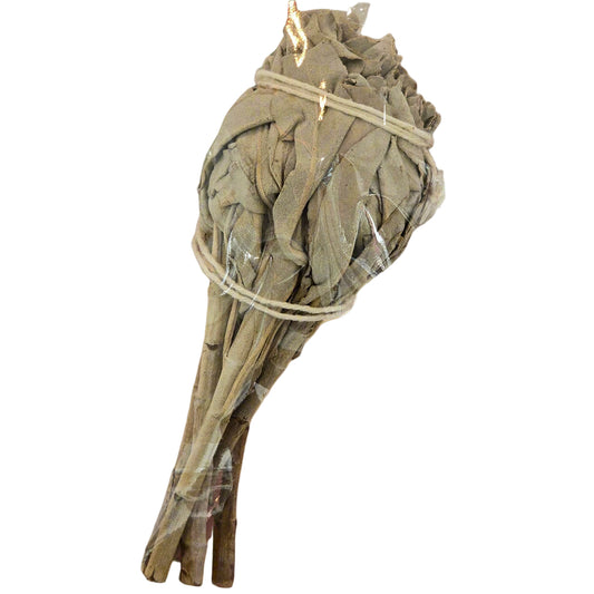 White Sage small