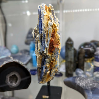 Raw Kyanite Crystal on Stand