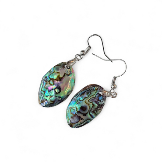 Abalone Paua Shell Earrings #5
