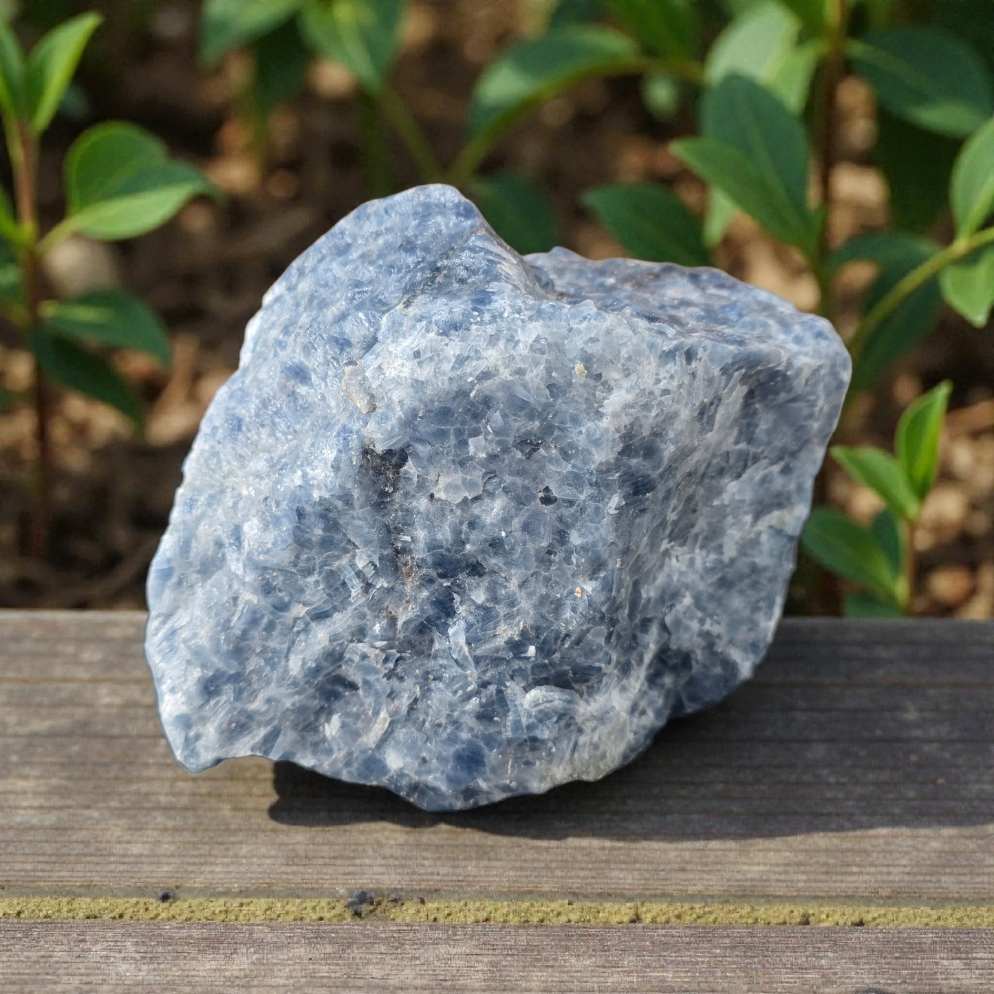 Raw Blue Calcite (XL 3.9kg)
