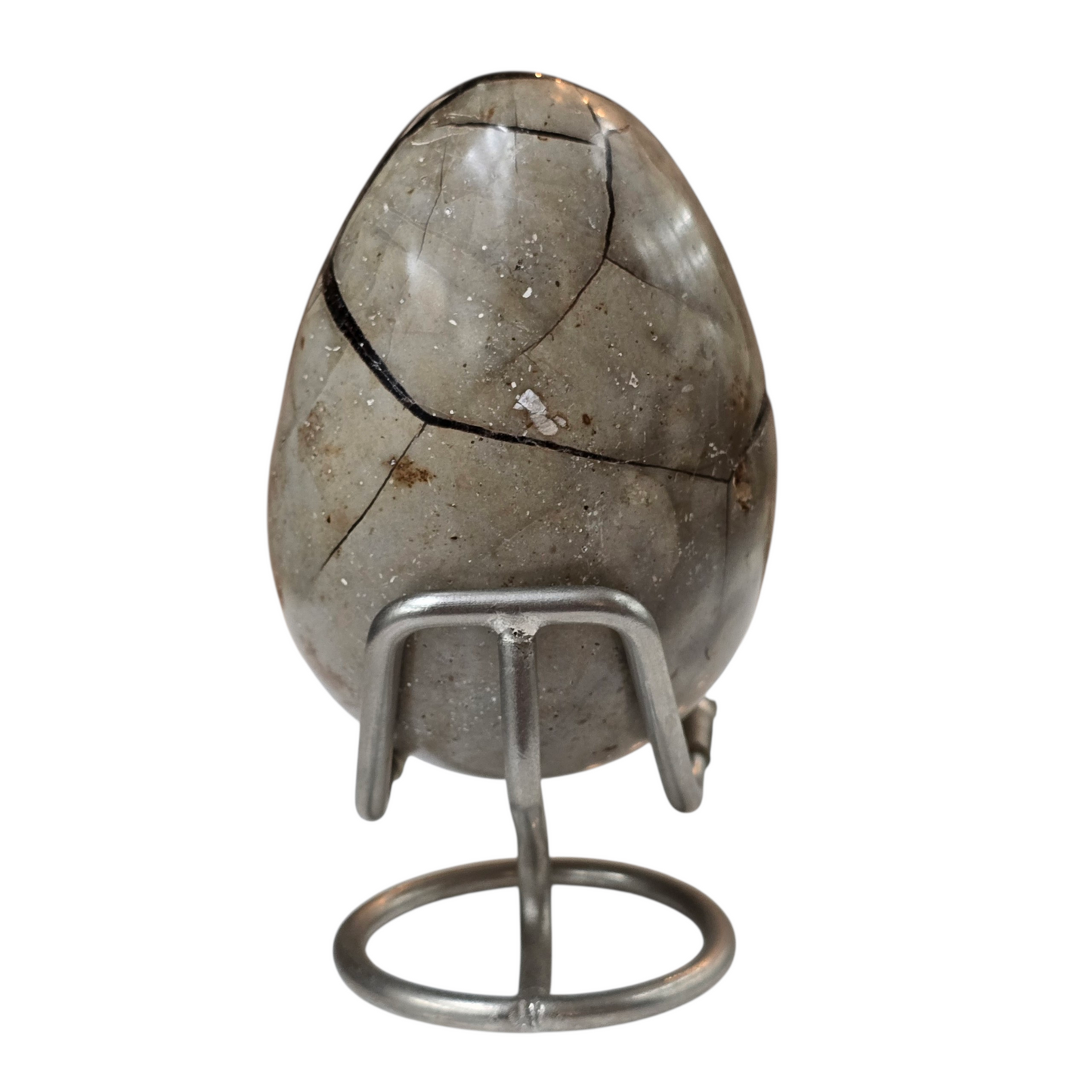 Septarian Dragon Egg #2