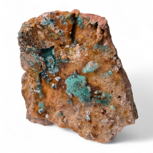 Specimen - Dolomite with Malachite & Selenite