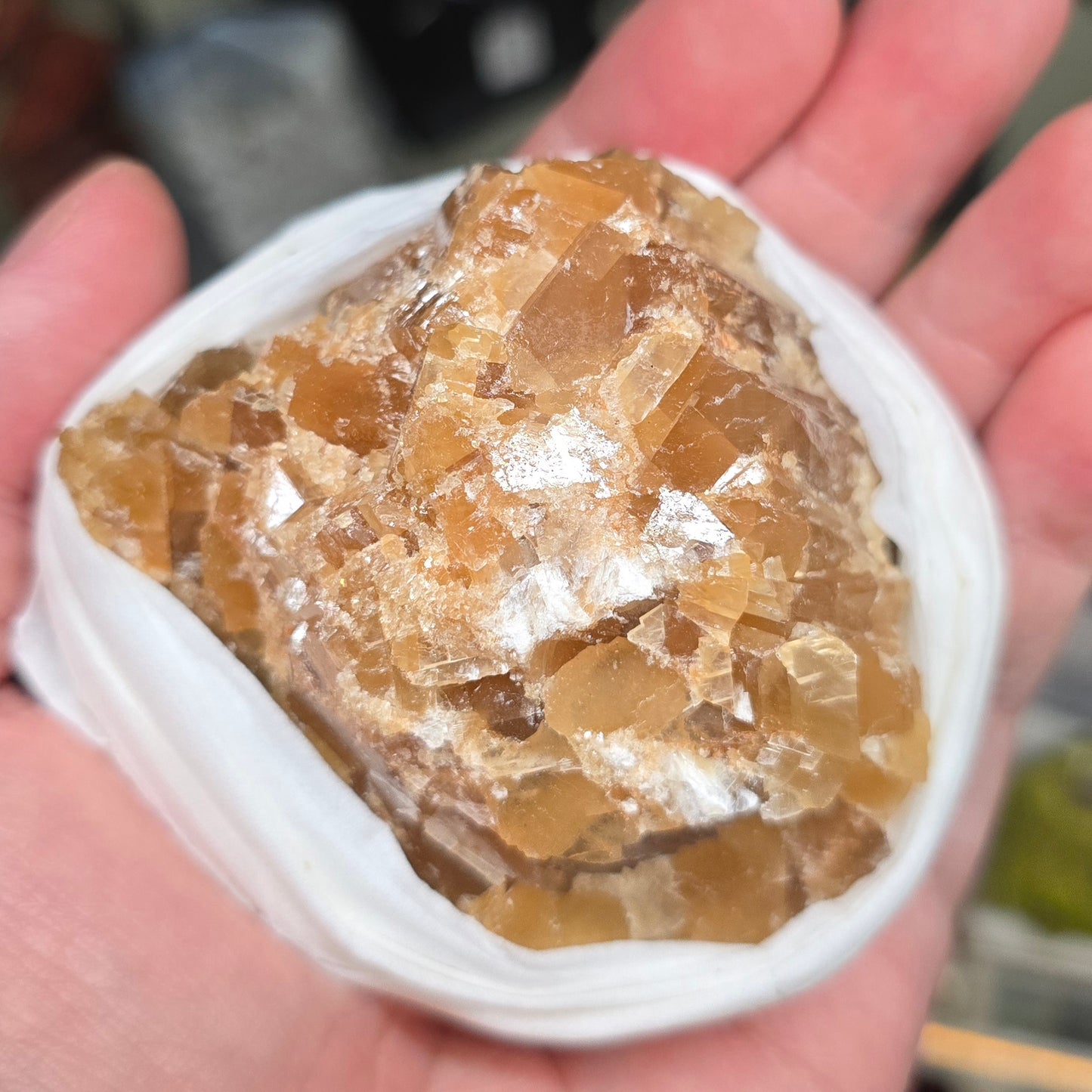 The Liquid Sun: Raw Honey Calcite Specimen