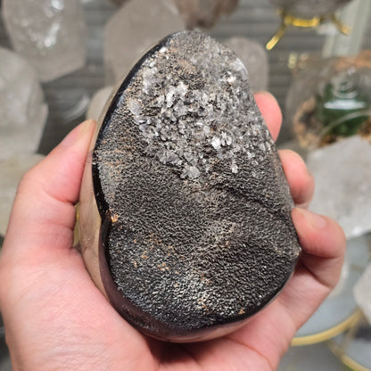 Septarian Dragon Egg #2