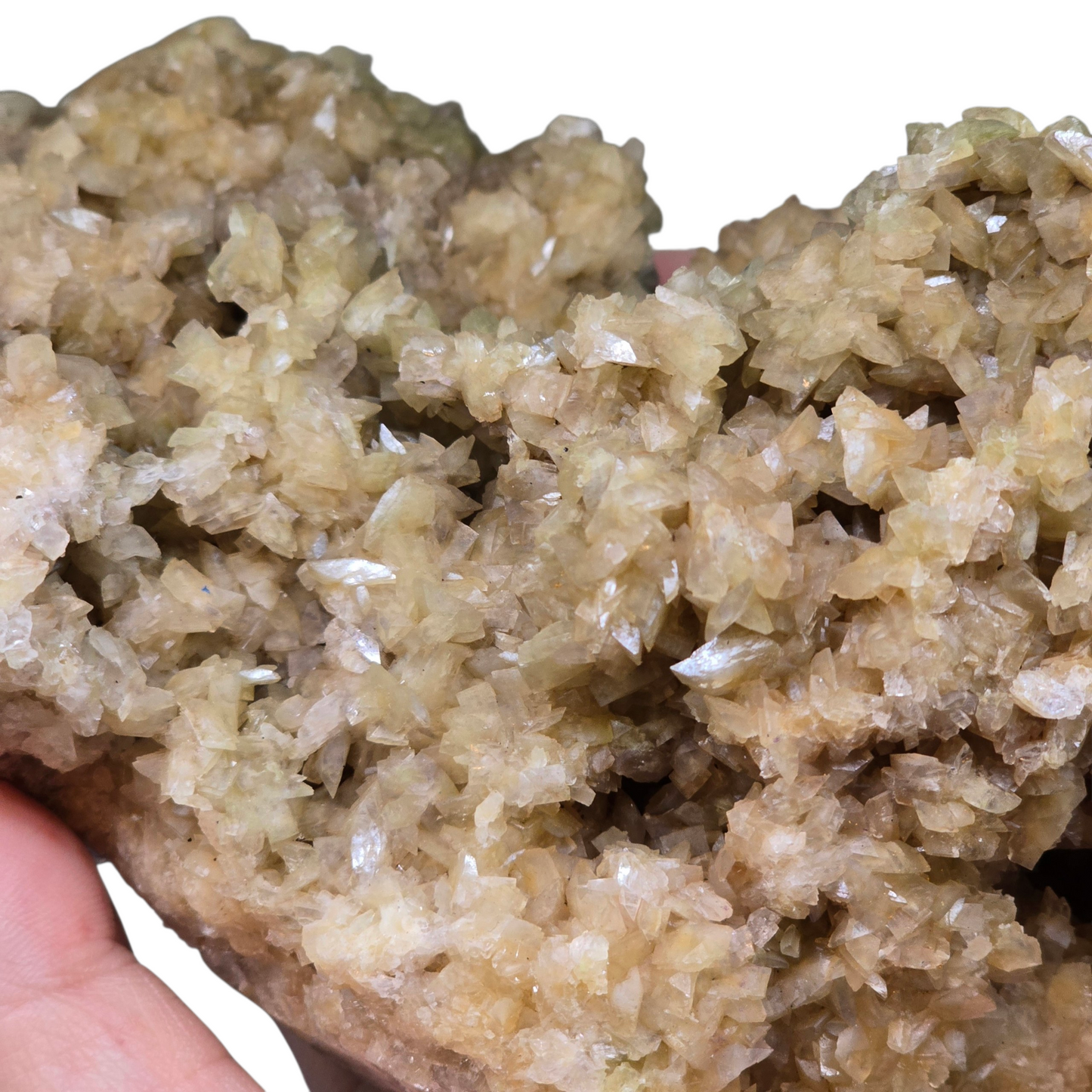 The Light Bringer: Raw Yellow Dogtooth Calcite Cluster