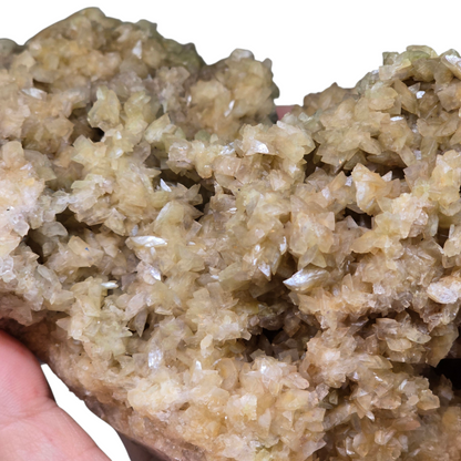 The Light Bringer: Raw Yellow Dogtooth Calcite Cluster