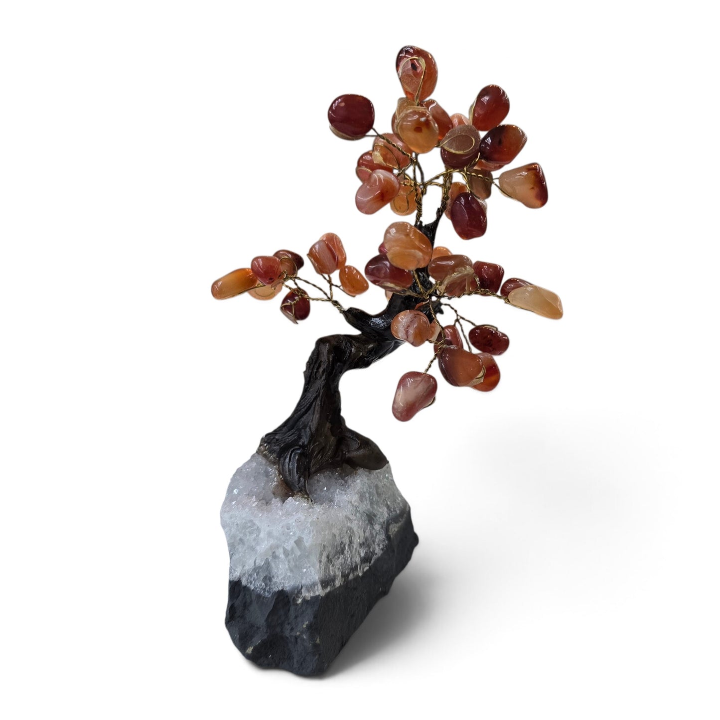 Rooted Fire: Carnelian Crystal Bonsai on Raw Quartz Matrix