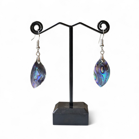Abalone Paua Shell Earrings #1
