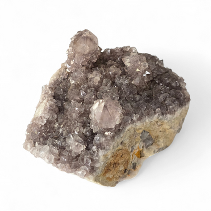 Amethyst Cactus Spirit Quartz