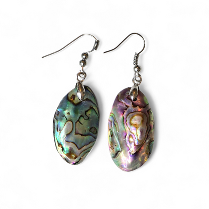 Abalone Paua Shell Earrings #3