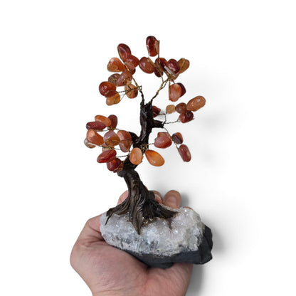 Rooted Fire: Carnelian Crystal Bonsai on Raw Quartz Matrix