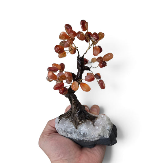 Rooted Fire: Carnelian Crystal Bonsai on Raw Quartz Matrix
