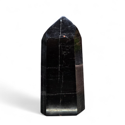 The Master Protector: Polished Black Tourmaline Generator