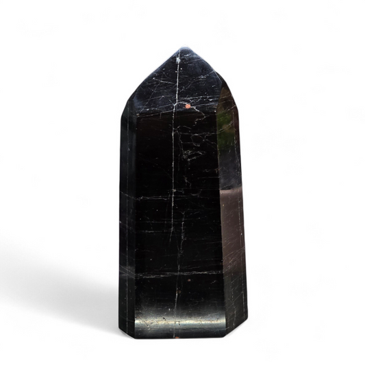 The Master Protector: Polished Black Tourmaline Generator
