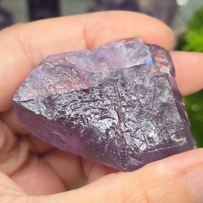 Rainbow Raw Amethyst