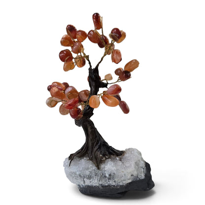 Rooted Fire: Carnelian Crystal Bonsai on Raw Quartz Matrix