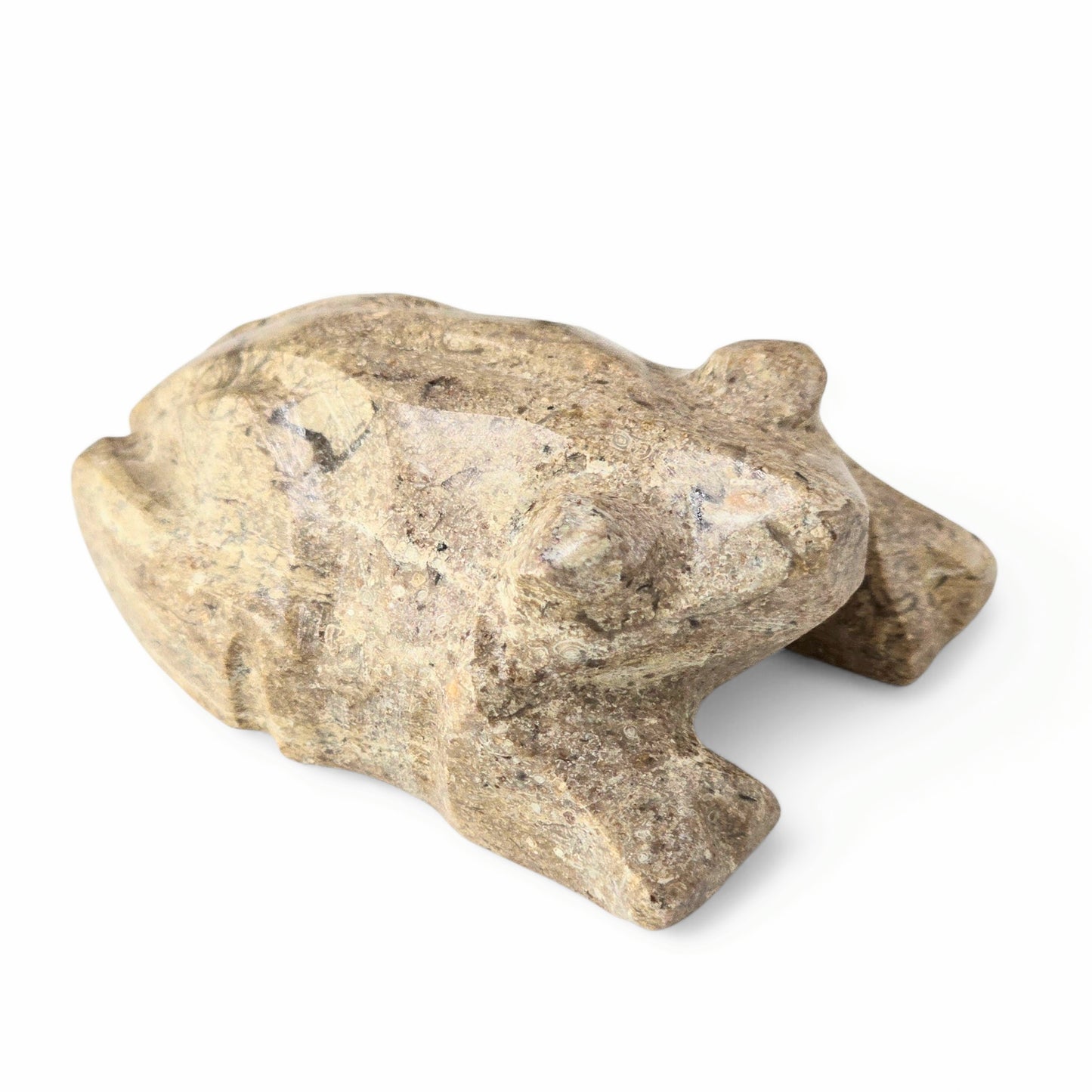 Fossil Coral Stone Frog
