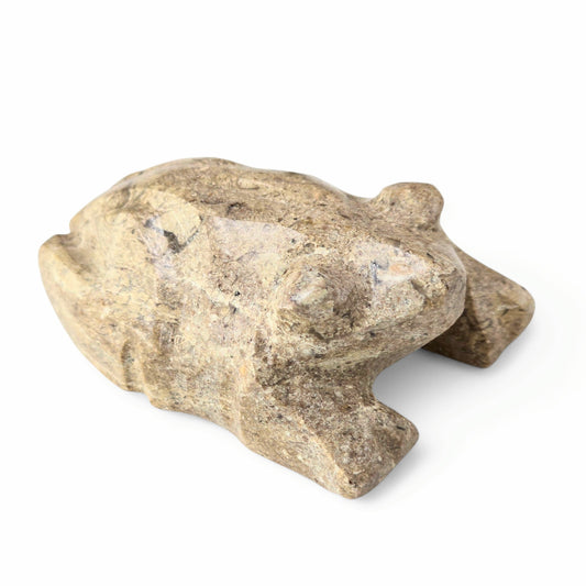 Fossil Coral Stone Frog