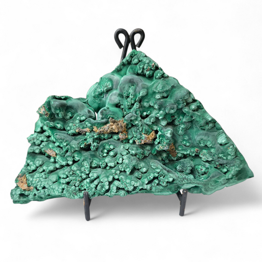 Transformation & Abundance: Raw Botryoidal Malachite Specimen