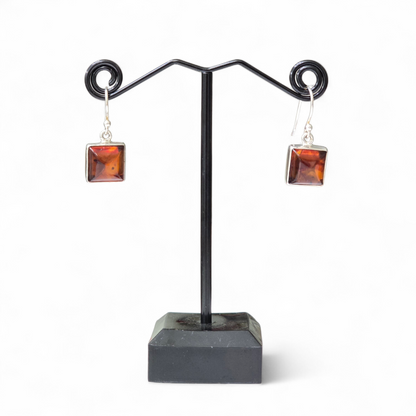 Square Baltic Amber Earrings (Sterling Silver 925) #1