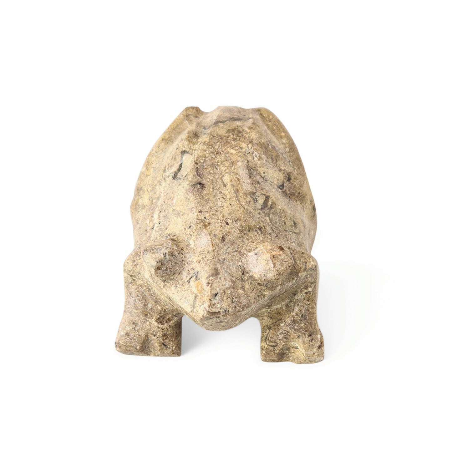 Fossil Coral Stone Frog