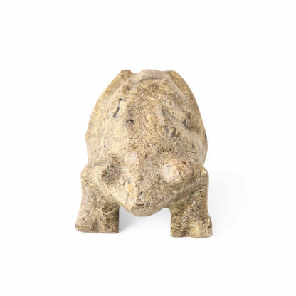 Fossil Coral Stone Frog